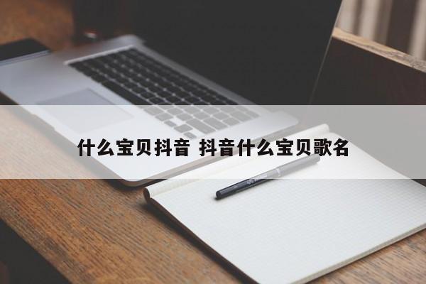 什么宝贝抖音 抖音什么宝贝歌名