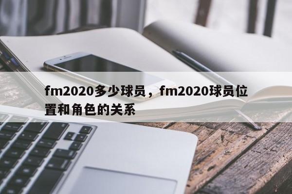 fm2020多少球员，fm2020球员位置和角色的关系