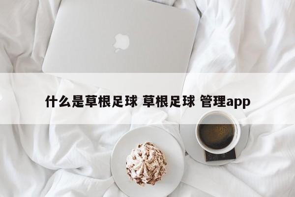 什么是草根足球 草根足球 管理app