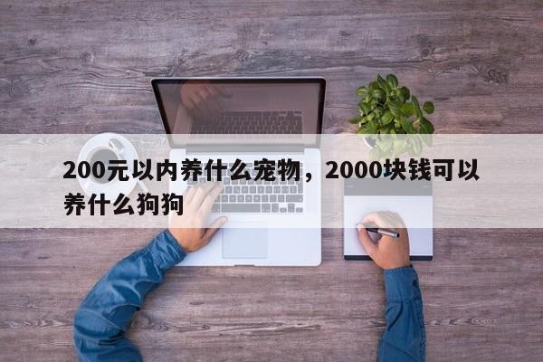 200元以内养什么宠物，2000块钱可以养什么狗狗