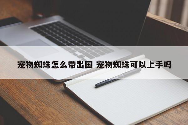 宠物蜘蛛怎么带出国 宠物蜘蛛可以上手吗