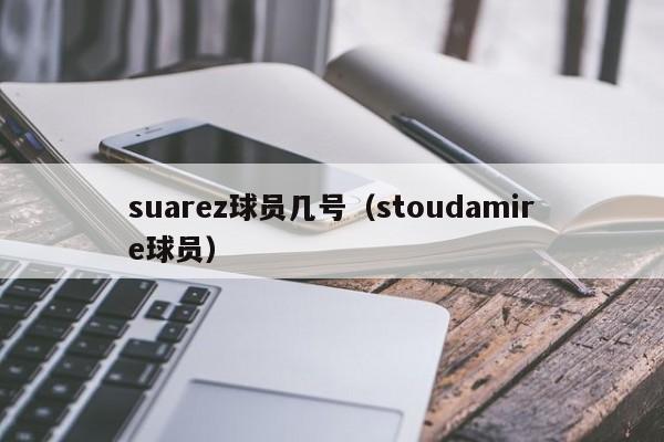 suarez球员几号（stoudamire球员）