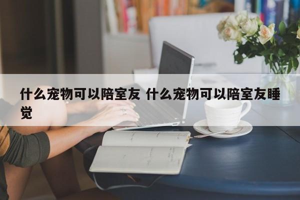 什么宠物可以陪室友 什么宠物可以陪室友睡觉