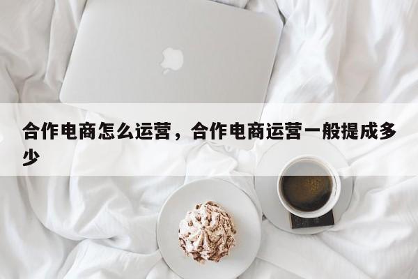 合作电商怎么运营，合作电商运营一般提成多少