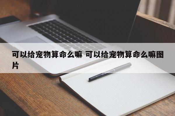 可以给宠物算命么嘛 可以给宠物算命么嘛图片