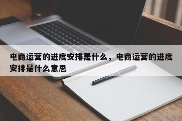 电商运营的进度安排是什么，电商运营的进度安排是什么意思