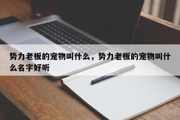 势力老板的宠物叫什么，势力老板的宠物叫什么名字好听