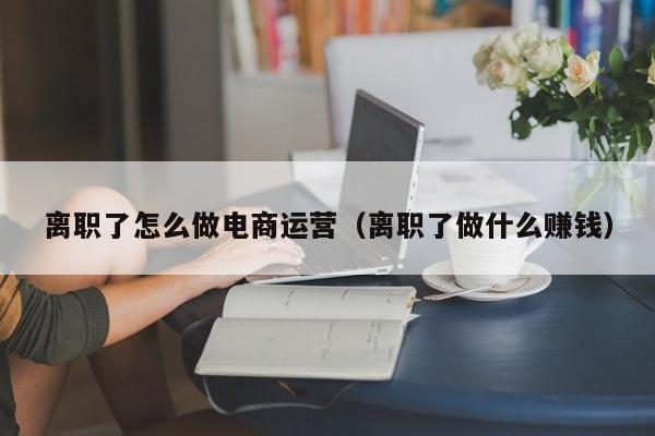 离职了怎么做电商运营（离职了做什么赚钱）