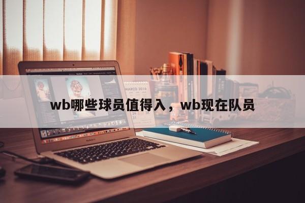 wb哪些球员值得入，wb现在队员