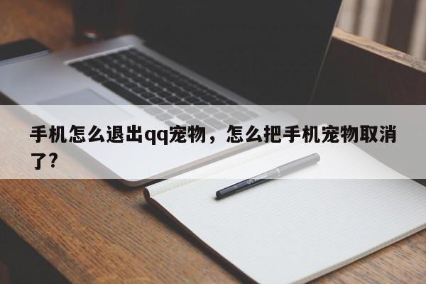 手机怎么退出qq宠物，怎么把手机宠物取消了?