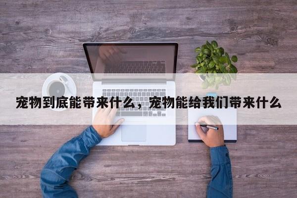 宠物到底能带来什么，宠物能给我们带来什么