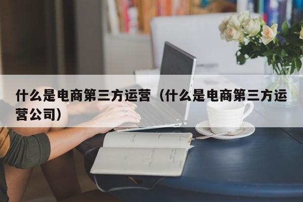 什么是电商第三方运营（什么是电商第三方运营公司）