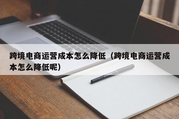 跨境电商运营成本怎么降低（跨境电商运营成本怎么降低呢）