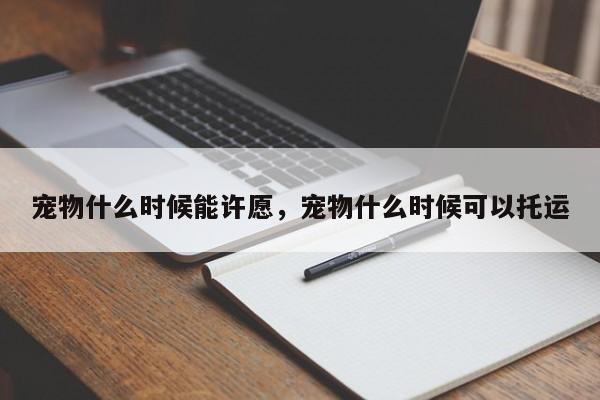 宠物什么时候能许愿，宠物什么时候可以托运