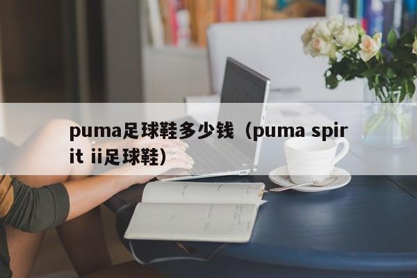 puma足球鞋多少钱（puma spirit ii足球鞋）