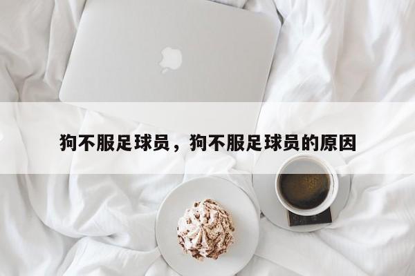 狗不服足球员，狗不服足球员的原因