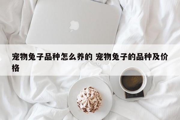 宠物兔子品种怎么养的 宠物兔子的品种及价格