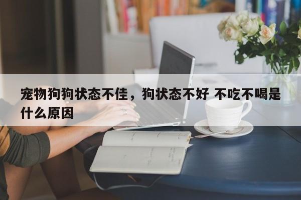 宠物狗狗状态不佳，狗状态不好 不吃不喝是什么原因