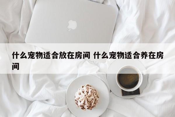 什么宠物适合放在房间 什么宠物适合养在房间