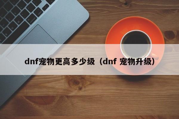 dnf宠物更高多少级（dnf 宠物升级）