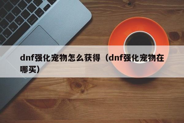 dnf强化宠物怎么获得（dnf强化宠物在哪买）