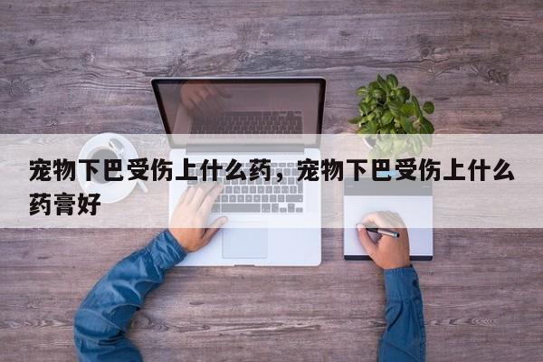 宠物下巴受伤上什么药，宠物下巴受伤上什么药膏好