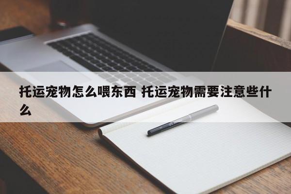 托运宠物怎么喂东西 托运宠物需要注意些什么