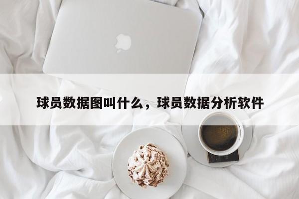 球员数据图叫什么，球员数据分析软件