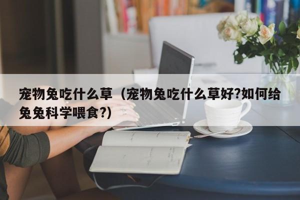 宠物兔吃什么草（宠物兔吃什么草好?如何给兔兔科学喂食?）