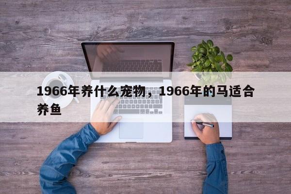 1966年养什么宠物，1966年的马适合养鱼