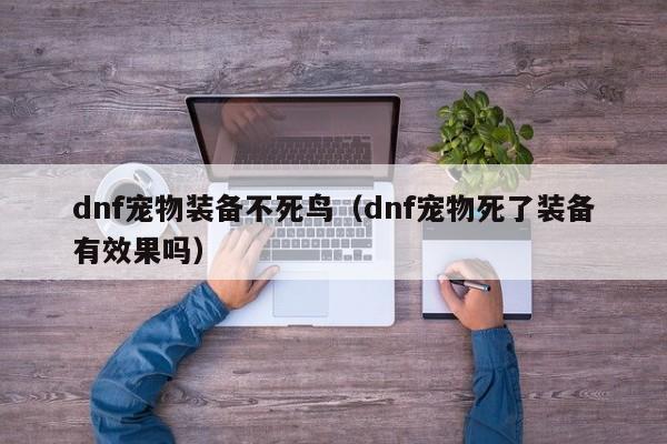 dnf宠物装备不死鸟（dnf宠物死了装备有效果吗）