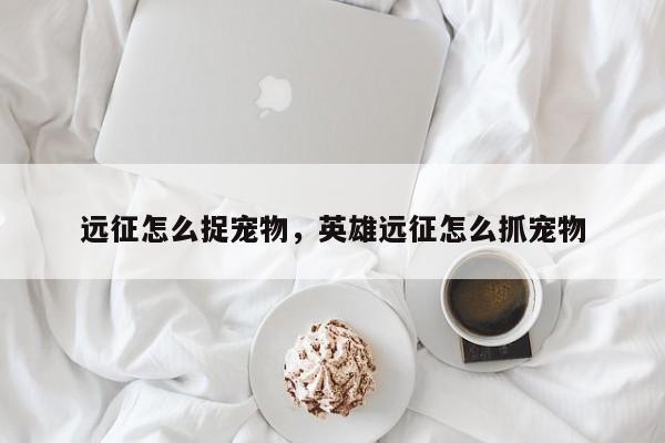 远征怎么捉宠物，英雄远征怎么抓宠物