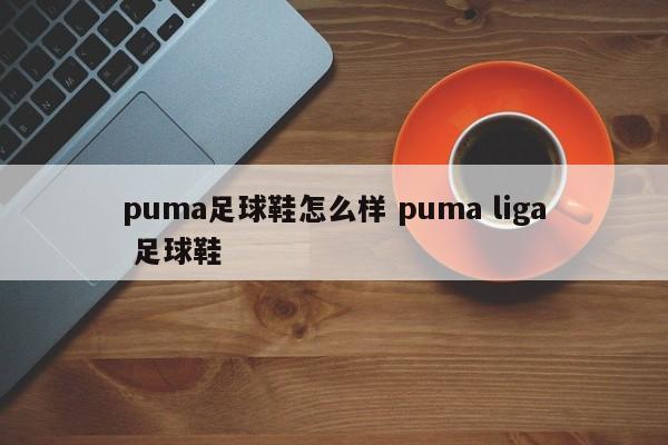 puma足球鞋怎么样 puma liga 足球鞋