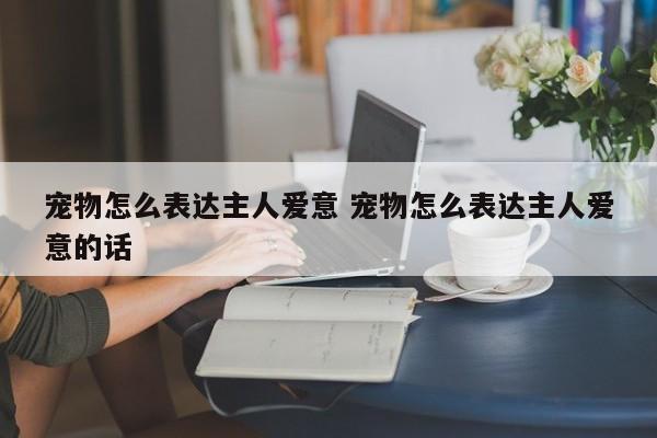 宠物怎么表达主人爱意 宠物怎么表达主人爱意的话