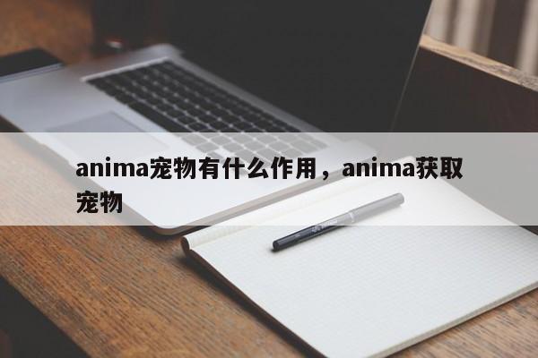 anima宠物有什么作用，anima获取宠物