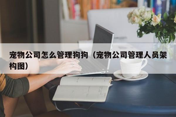 宠物公司怎么管理狗狗（宠物公司管理人员架构图）