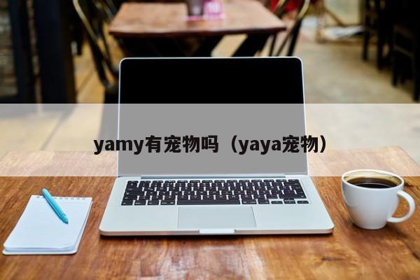 yamy有宠物吗（yaya宠物）