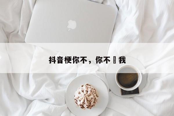 抖音梗你不，你不慬我