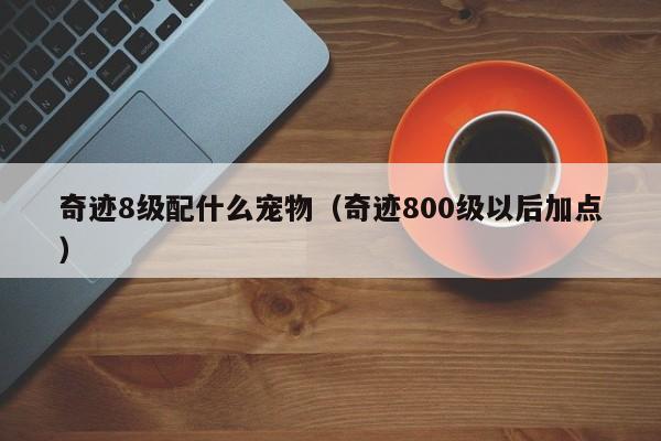 奇迹8级配什么宠物（奇迹800级以后加点）