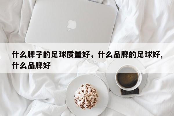 什么牌子的足球质量好，什么品牌的足球好,什么品牌好