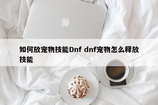 如何放宠物技能Dnf dnf宠物怎么释放技能