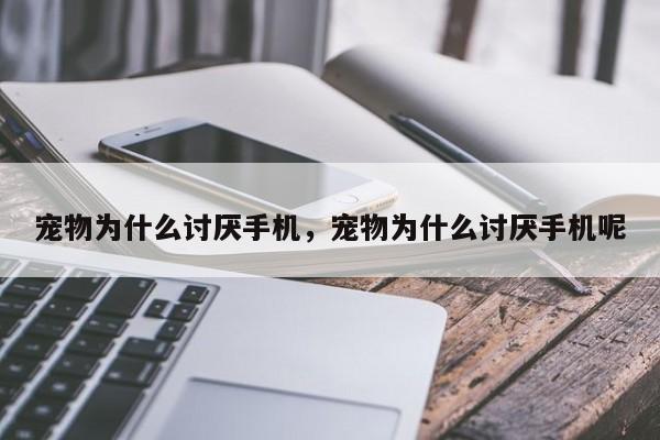 宠物为什么讨厌手机，宠物为什么讨厌手机呢