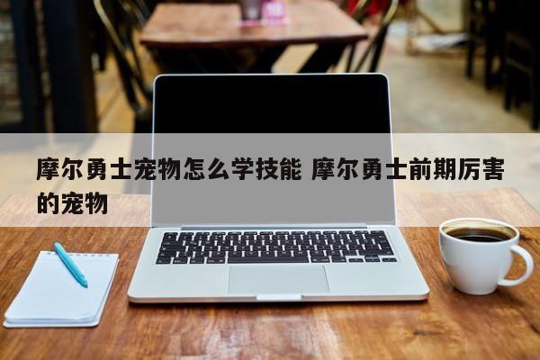 摩尔勇士宠物怎么学技能 摩尔勇士前期厉害的宠物