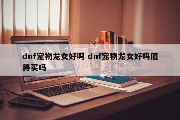 dnf宠物龙女好吗 dnf宠物龙女好吗值得买吗