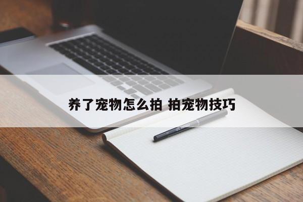 养了宠物怎么拍 拍宠物技巧