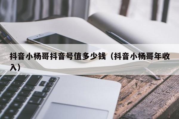 抖音小杨哥抖音号值多少钱（抖音小杨哥年收入）