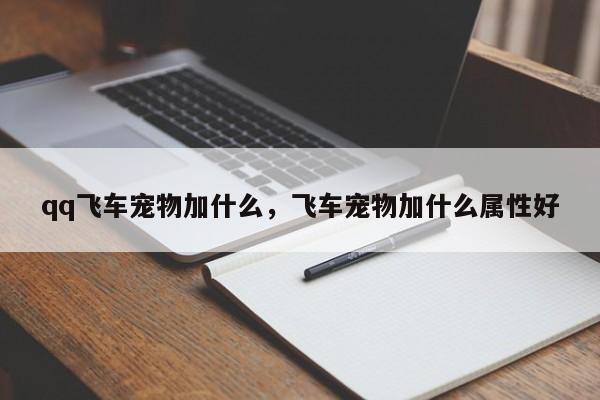 qq飞车宠物加什么，飞车宠物加什么属性好