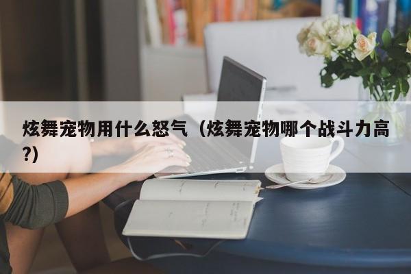 炫舞宠物用什么怒气（炫舞宠物哪个战斗力高?）