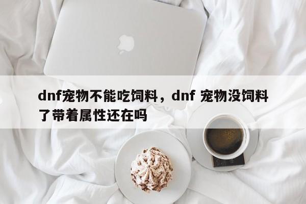 dnf宠物不能吃饲料，dnf 宠物没饲料了带着属性还在吗