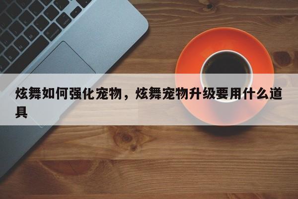 炫舞如何强化宠物，炫舞宠物升级要用什么道具